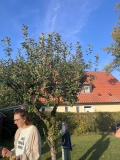 IMG_4075