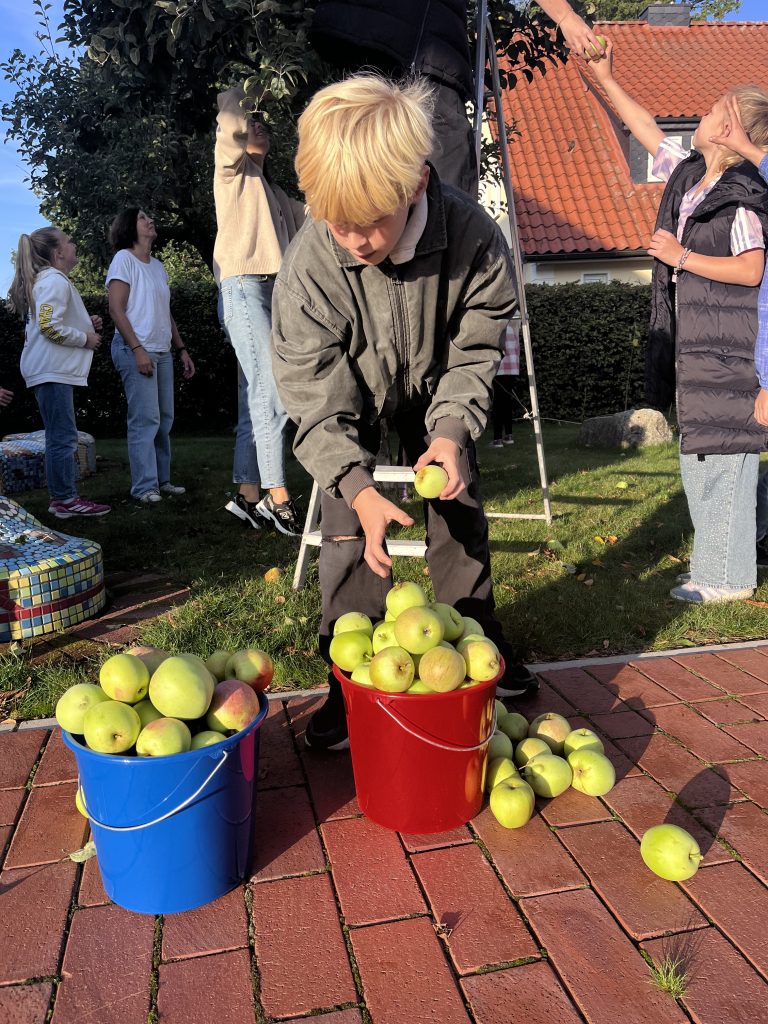 Ernte auf unserer Streuobstwiese Ernte auf unserer Streuobstwiese